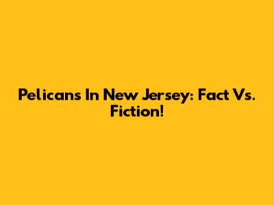 Pelicans In New Jersey: Fact Vs. Fiction!