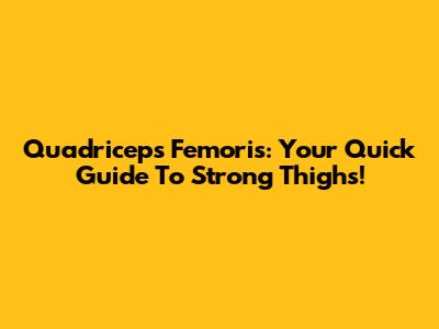 Quadriceps Femoris: Your Quick Guide To Strong Thighs!